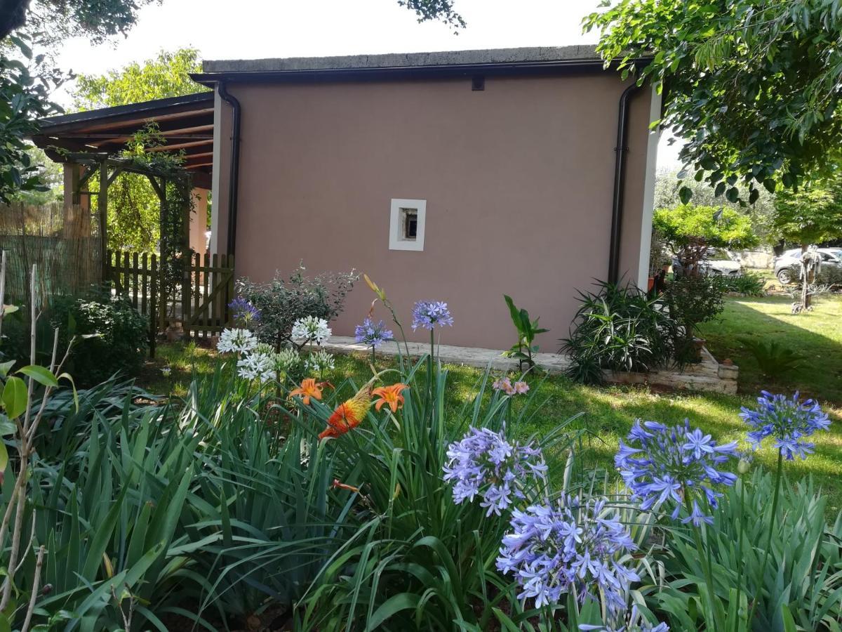 Apartman "Almond House 2" Pula Exterior foto